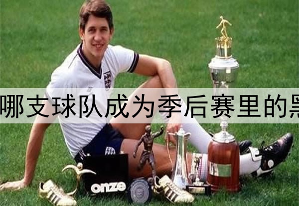 你看好哪支球队成为季后赛里的黑马♞？