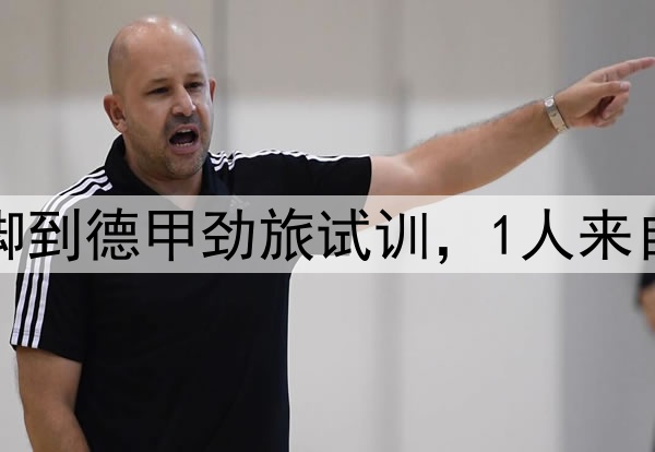 正式官宣!2年轻国脚到德甲劲旅试训,1人来自鲁能,1人来自大连