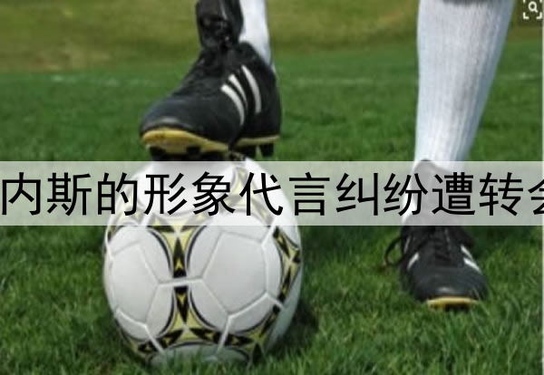 记者：申花因与前外援马丁内斯的形象代言纠纷遭转会禁令，合计金额116万美元