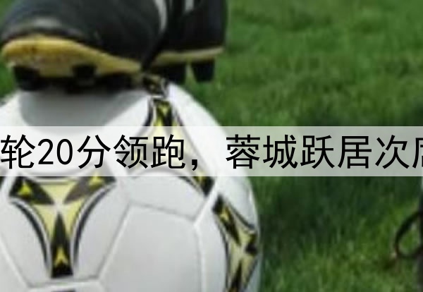 申花一枝独秀！8轮20分领跑，蓉城跃居次席，海港赛季首败