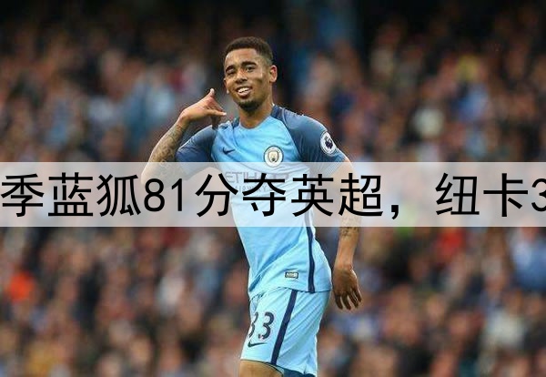 沧海桑田！15/16赛季蓝狐81分夺英超，纽卡37分仍降级维拉垫底