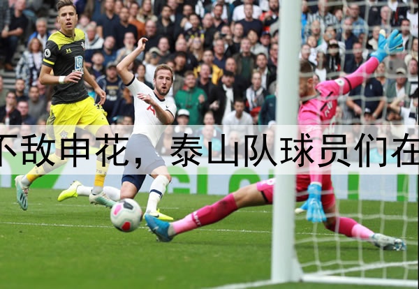 中超|泰山0:1不敌申花,泰山队球员们在场上拼尽了全力