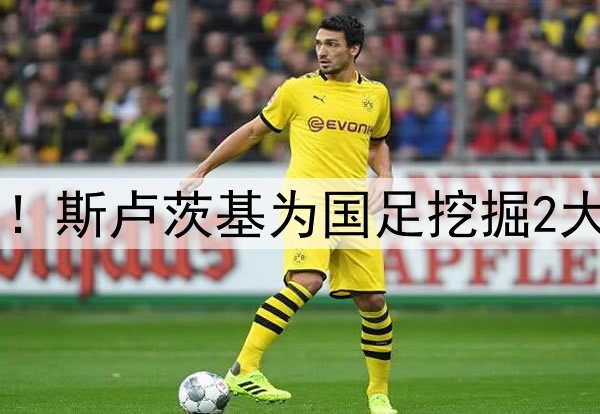 申花队换“将”成功！斯卢茨基为国足挖掘2大铁闸，伊万可直接用