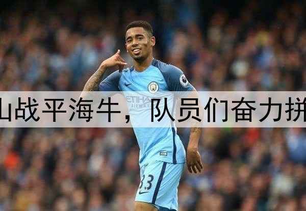 中超|齐鲁德比泰山战平海牛，队员们奋力拼搏，无奈收获平局