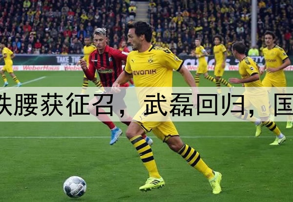 国安7将入选，大连铁腰获征召，武磊回归，国足最新集训名单预测