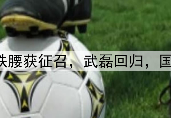 国安7将入选，大连铁腰获征召，武磊回归，国足最新集训名单预测