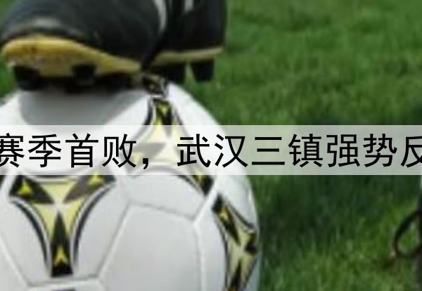 蓉城独居榜首！申花赛季首败，武汉三镇强势反弹，海牛不胜仍垫底