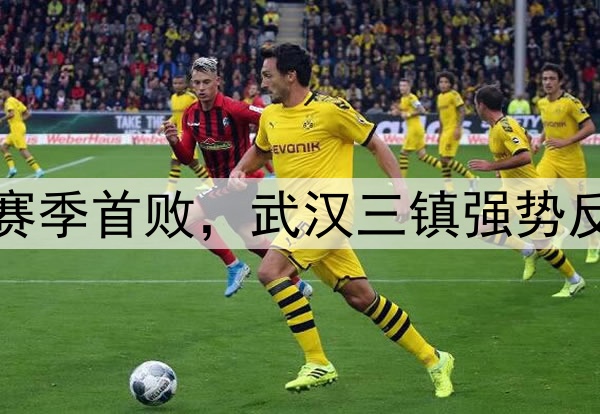 蓉城独居榜首！申花赛季首败，武汉三镇强势反弹，海牛不胜仍垫底