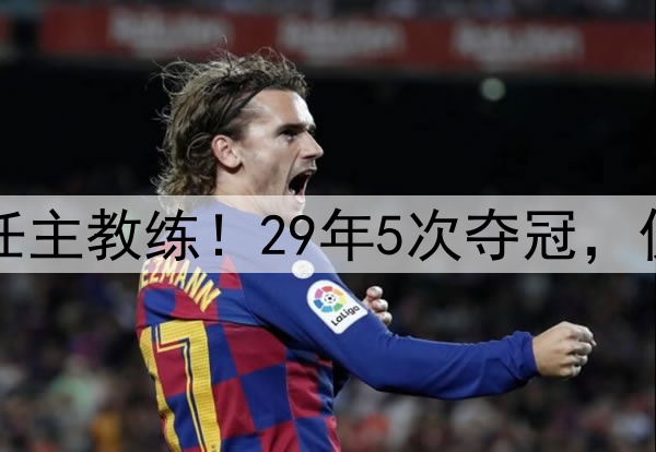 波波维奇不再担任主教练！29年5次夺冠，仅缺席3次季后赛！