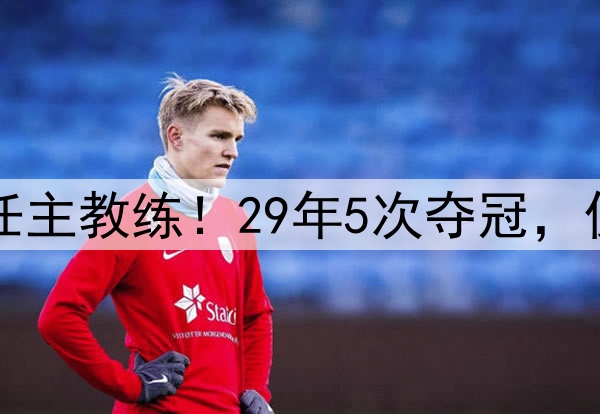 波波维奇不再担任主教练！29年5次夺冠，仅缺席3次季后赛！
