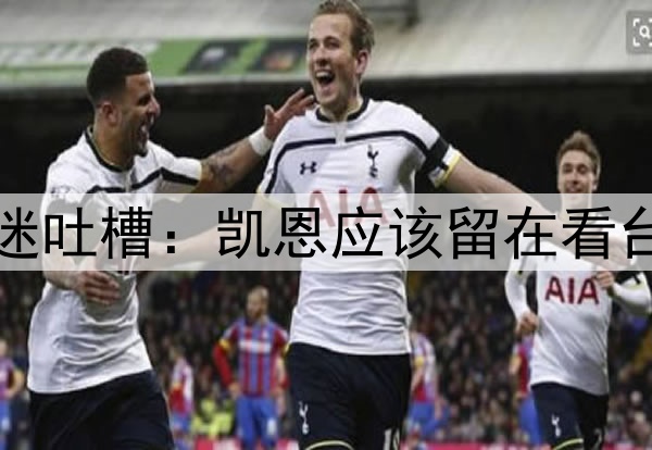 太戏剧性了！球迷吐槽：凯恩应该留在看台，谁让他下来的