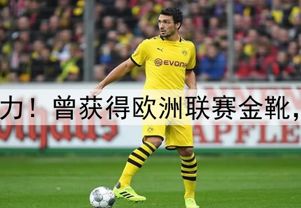 27岁归化坐稳中超主力！曾获得欧洲联赛金靴，本赛季10场打进2球