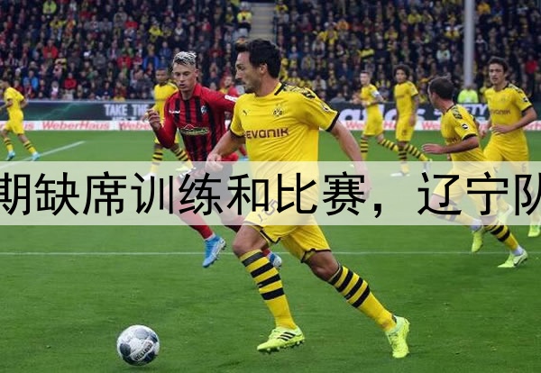 辽媒：张镇麟将接受手术或长期缺席训练和比赛，辽宁队眼下重点工作全力续约赵继伟