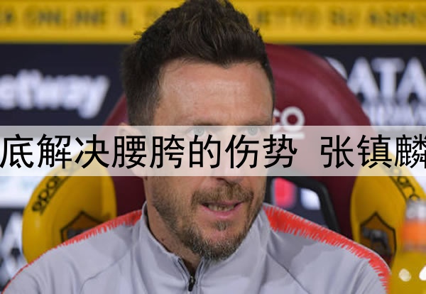 辽宁日报：为彻底解决腰胯的伤势 张镇麟今夏将进行手术