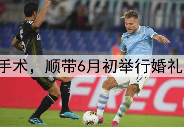 张镇麟今夏决定做手术，顺带6月初举行婚礼，将缺席多个赛事！
