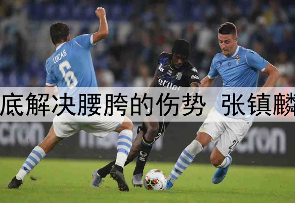 辽宁日报：为彻底解决腰胯的伤势 张镇麟今夏将进行手术