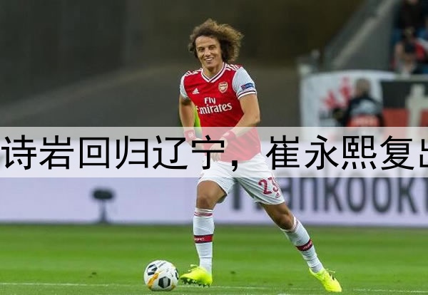 全运会最新动态！高诗岩回归辽宁，崔永熙复出首秀代表广东出战！