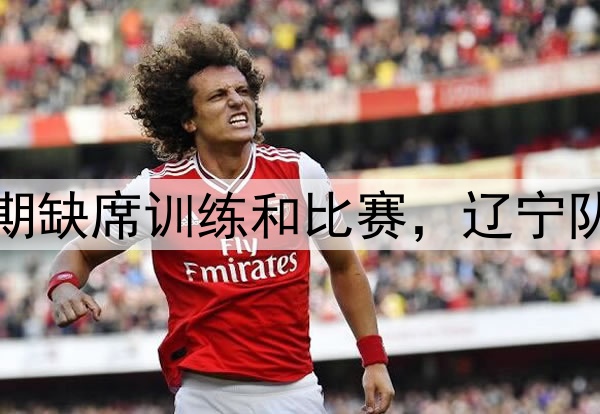 辽媒：张镇麟将接受手术或长期缺席训练和比赛，辽宁队眼下重点工作全力续约赵继伟