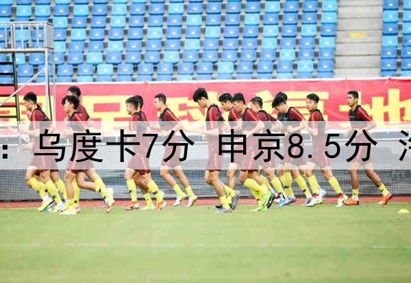 火箭首轮表现打分：乌度卡7分 申京8.5分 海王9.9分 格林2分