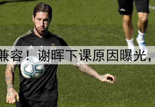 喝咖啡与吃铁锅炖不兼容！谢晖下课原因曝光，做到这一点是真男人