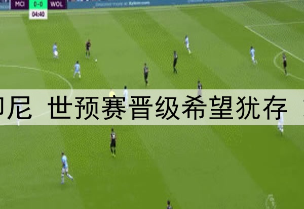 国足即将迎战印尼 世预赛晋级希望犹存 或击败印尼取胜