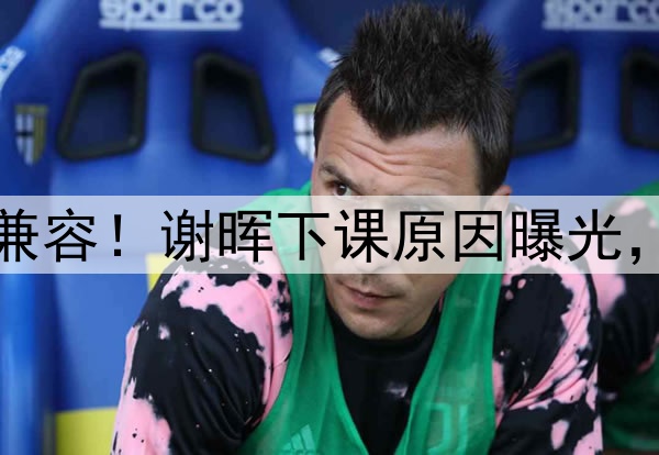 喝咖啡与吃铁锅炖不兼容！谢晖下课原因曝光，做到这一点是真男人