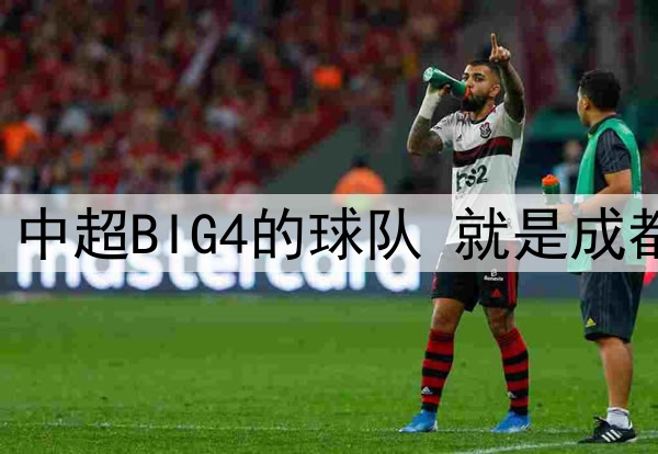 中超第12轮 中超BIG4的球队 就是成都蓉城打客场