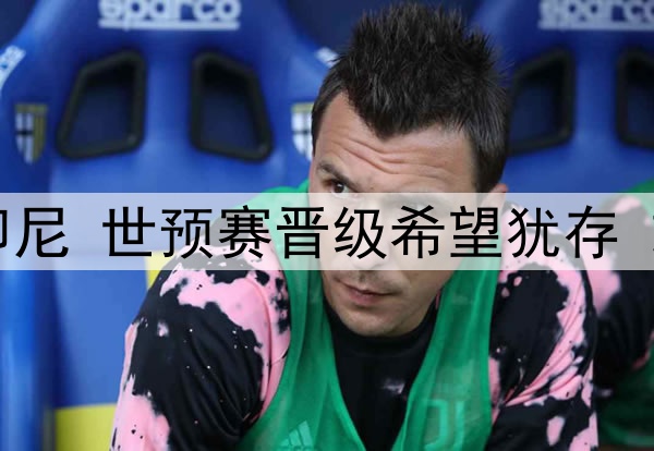 国足即将迎战印尼 世预赛晋级希望犹存 或击败印尼取胜