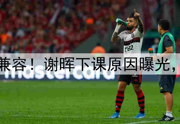 喝咖啡与吃铁锅炖不兼容！谢晖下课原因曝光，做到这一点是真男人