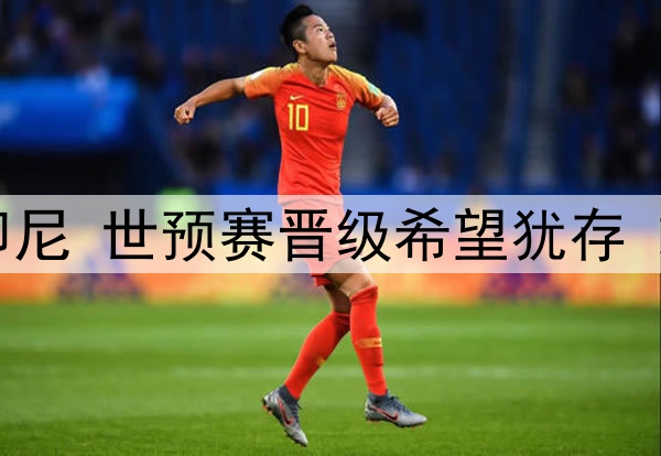 国足即将迎战印尼 世预赛晋级希望犹存 或击败印尼取胜