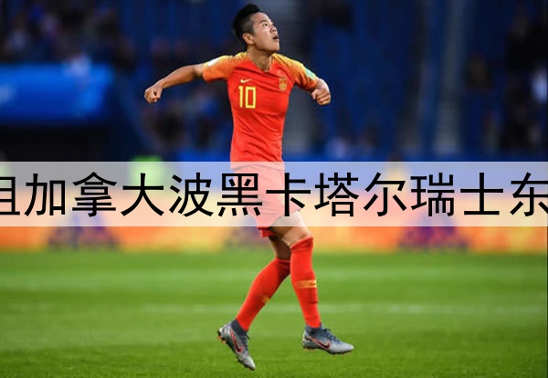 世界杯B组加拿大波黑卡塔尔瑞士东道主首秀