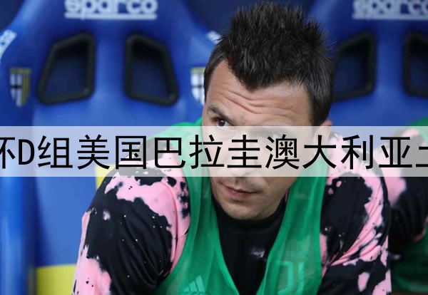 世界杯D组美国巴拉圭澳大利亚土耳其
