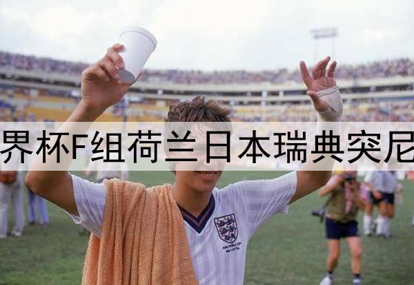 世界杯F组荷兰日本瑞典突尼斯